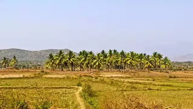 Guntur is picturesque; and productive
